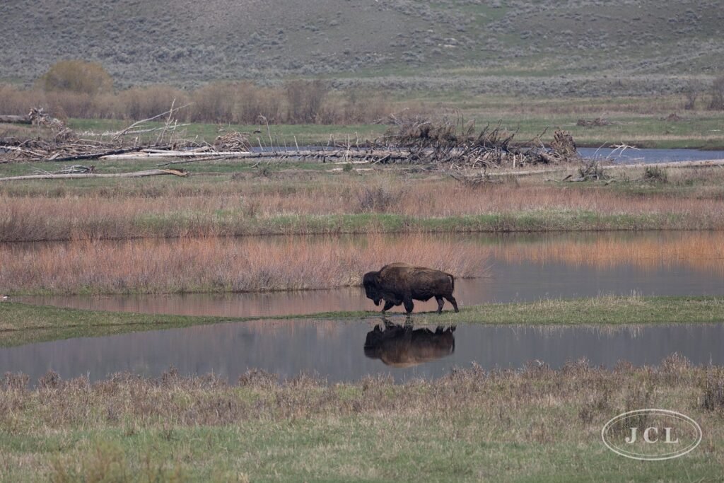 The Pond to Himself