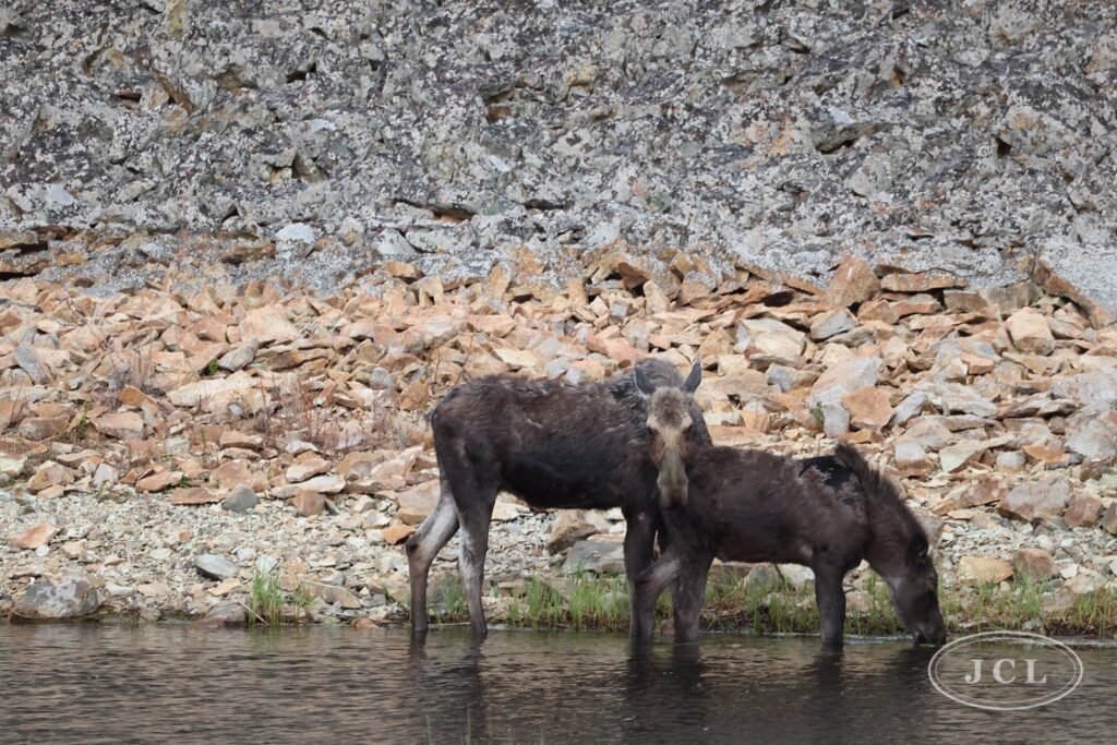 Two at the Water